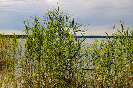 阴天的海摄影照片_在阴天的大湖或海的岸边。