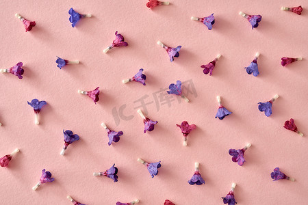 粉红色纸上带有新鲜肺字或 Pulmonaria 花的春季背景