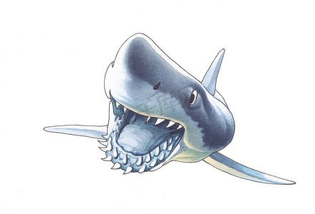 张大嘴巴的鲨鱼