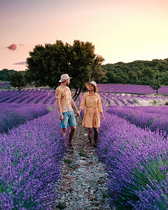 一对中年男女在普罗旺斯度假，参观法国盛开的薰衣草田