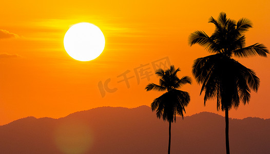 夏天，角落里有椰子树，顶着大太阳。