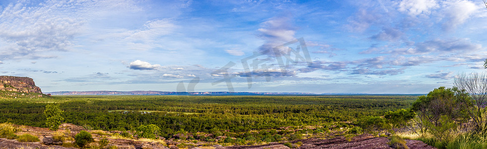 澳大利亚卡卡杜国家公园乌比尔纳达布观景台的全景