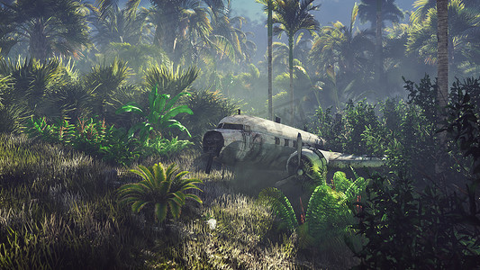 失事飞机位于棕榈树和热带植被中间的丛林中。 