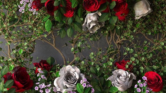 灰色墙壁上的鲜花玫瑰假日背景