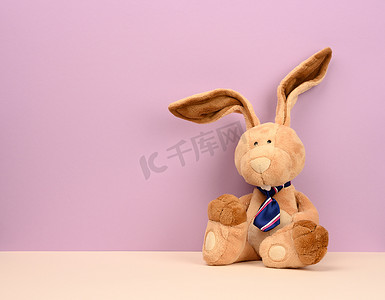 滑稽兔子摄影照片_紫色背景中长着大耳朵和滑稽脸的滑稽米色毛绒兔子