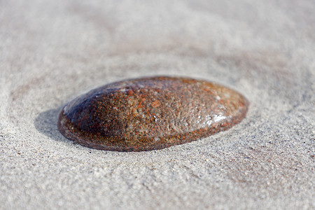 沙地上的单块石头