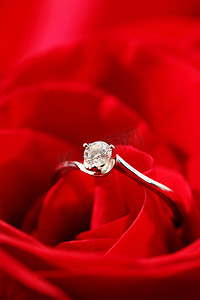新婚玫瑰摄影照片_玫瑰和戒指