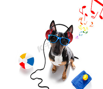 dj 迪斯科跳舞音乐狗在暑假
