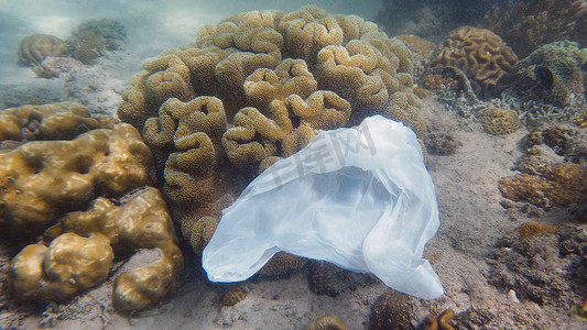 污染塑料袋摄影照片_美丽的珊瑚礁被塑料袋污染。