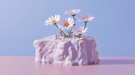雏菊背景图片_圆柱形浅紫色展示台浅蓝色背景上有白色岩石和雏菊