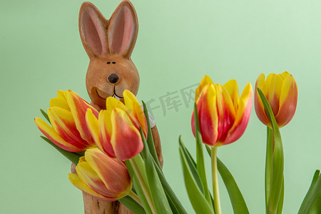 黄色兔子摄影照片_复活节兔子和带黄色红色郁金香的花束