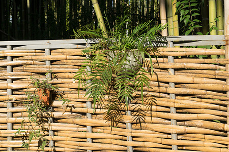竹编围栏，挂着花篮