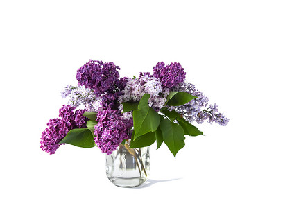 浅色背景上美丽的春天紫色丁香花的花束。