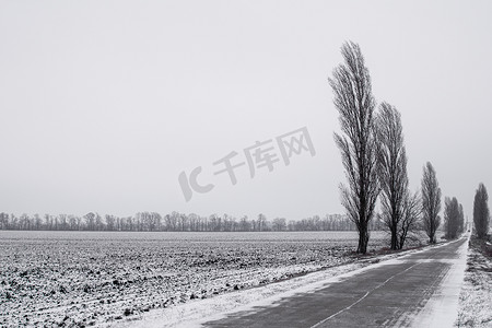 沿着积雪的犁过的农田的冬季道路。