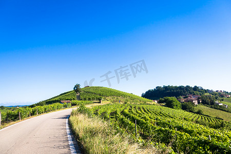 意大利的皮埃蒙特山丘，拥有风景秀丽的乡村、葡萄园和蓝天