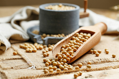 秋季保健摄影照片_木勺和小石磨中的大豆