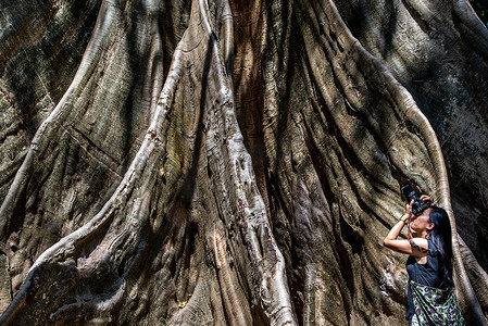 乌泰他尼省 Ban Sanam 的年轻女子背着单肩包，用相机拍摄大树，人与大树的大小比较。