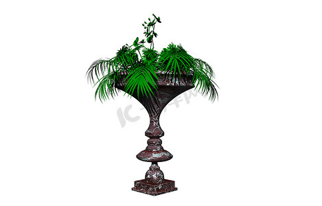 落地花瓶摄影照片_有棕榈树的高石花盆