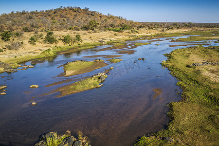 熟冻凡纳对虾摄影照片_南非克鲁格国家公园的 Olifant 河风光