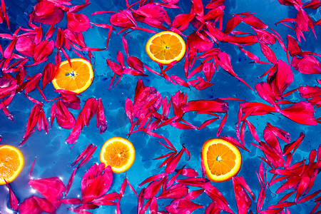 漂浮在蓝色水面上的红色花瓣和橙色切片