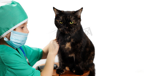 绿色拥抱摄影照片_身穿绿色手术服和医用口罩的女孩扮演带猫的兽医