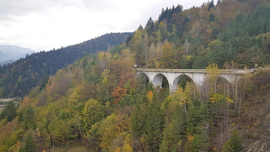 秋天森林中的桥