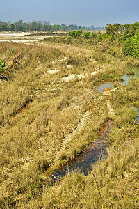 保护湿地摄影照片_湿地景观，皇家巴迪亚国家公园，尼泊尔