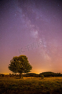 夜晚和星星景观：夜晚清澈的银河，孤独的田野和树木