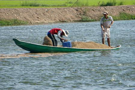 捕鱼摄影照片_亚洲农民喂养、鱼塘、渔业