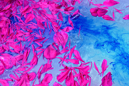 水面花瓣摄影照片_漂浮在蓝色水面上的粉红色花瓣