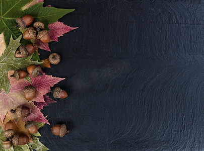 秋装上摄影照片_深色石头上用质朴的树叶和橡子装饰的秋装