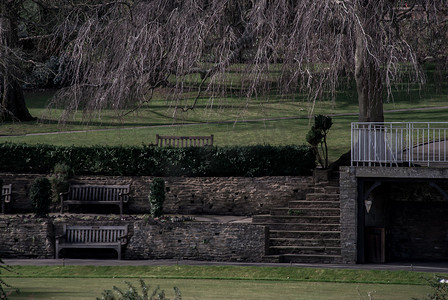 户外草坪上的木制长椅，供您在春季在自然公园放松身心。
