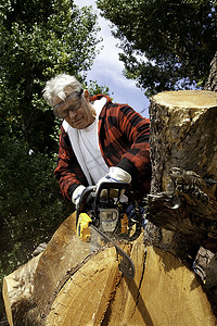 老人用电锯切割树桩