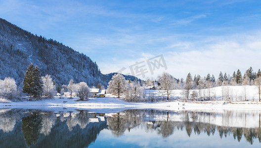 阿尔卑斯山阳光明媚的冬季景观：萨尔茨堡的 Hintersee 湖、雪树和山脉