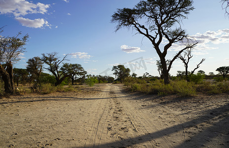 非洲开阔的萨凡纳的长土路