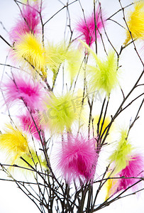 彩色羽毛摄影照片_有彩色羽毛的复活节树枝