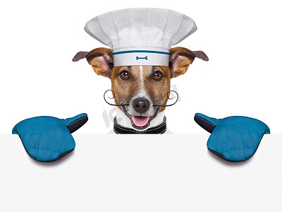 狗厨师厨师横幅