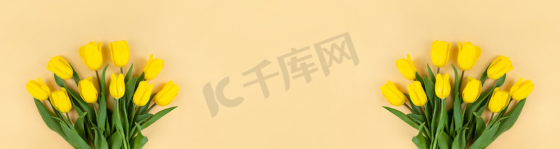 米色海报背景摄影照片_米色背景上的黄色郁金香花束。