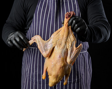 服装加工摄影照片_穿着蓝色条纹围裙和黑色衣服的男厨师站在黑色背景上，手里拿着一只鸭子