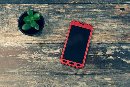 带复制空间的红色安卓手机的顶部视图和木头上的绿色多汁植物-游牧移动工作场所、现代智能手机技术、时髦咖啡馆生活方式或无线互联网的概念