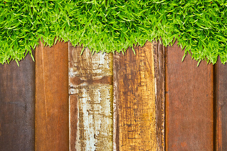 木头颜色背景背景摄影照片_在木头背景的绿草