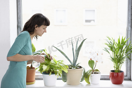 窗边场景摄影照片_女商人在窗边喷洒盆栽植物