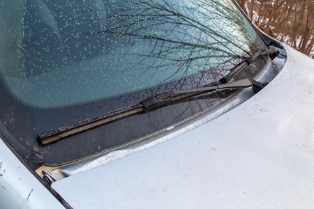 早晨汽车挡风玻璃和水刀雨刷上的轻霜片