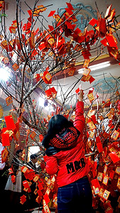 越南人在春节挑选幸运礼物，传统文化
