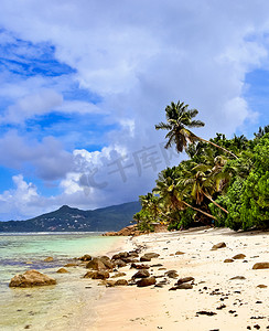 在天堂海岛塞舌尔的晴天海滩视图