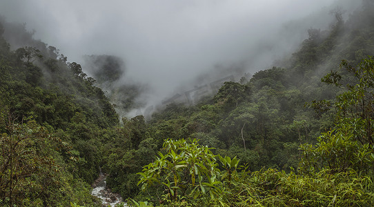 秘鲁的云雾森林，全景。
