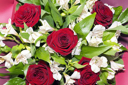星历摄影照片_一束红玫瑰和白色六出花关闭