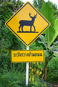 交通标志，小心鹿横穿