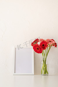 白色家居装饰海报摄影照片_白色背景上带有空白白框的红色非洲菊花