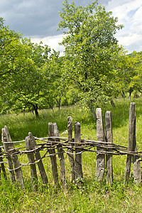 果园后村的旧木栅栏